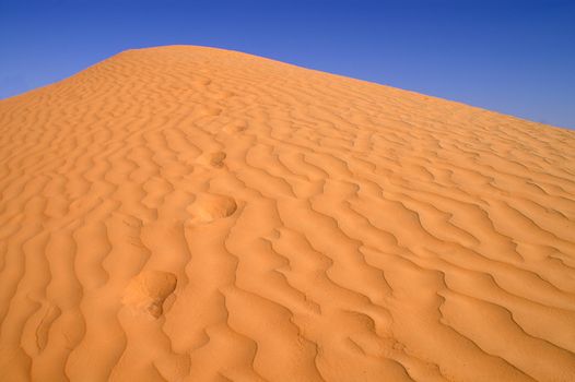 beautiful day in the dunes of Africa