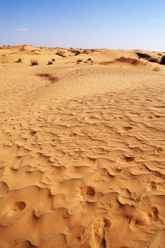 beautiful day in the dunes of Africa