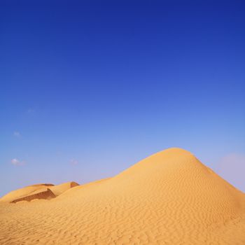 beautiful day in the dunes of Africa