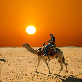 in the summer holiday on a camel ride