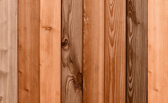 beautiful colored wooden boards in a row