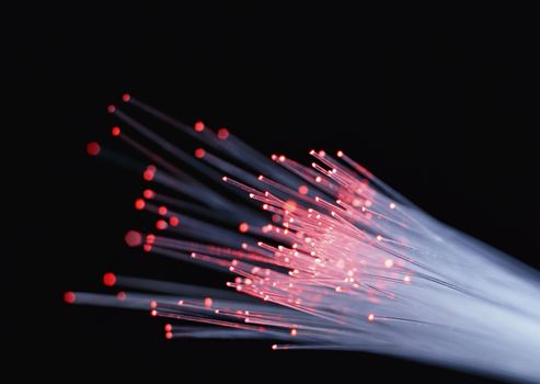 Internet technology concept with fiber optics on black background