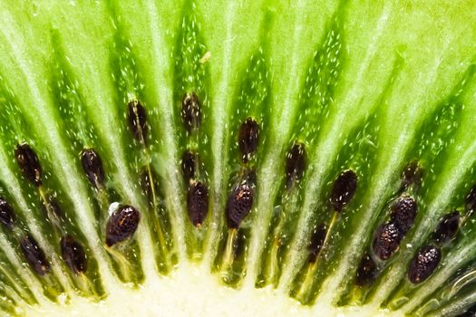 Macro photo of a fresh kiwi