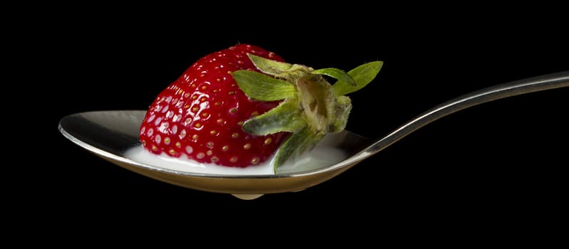 red, ripe strawberry falling in spoon with fresh milk - isolated on lack background