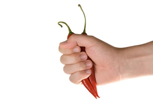 Hot peppers in hand isolated on a white
