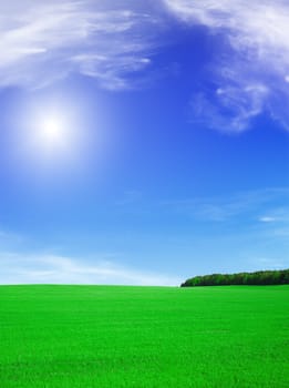 Summer landscape - blue sky with sun and green field