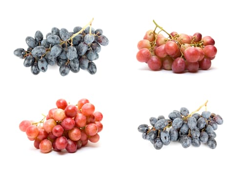 grape set isolated on white background