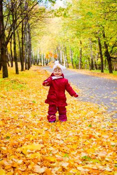 Little girl with yellow maple leaves on autumn forest