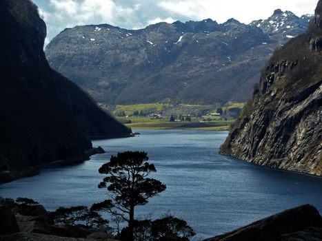 small, deep fjord in norway with tree in foreground