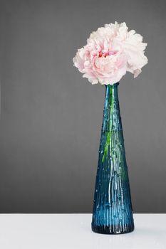 Beautiful pale pink peony flowers in a blue cristal vase over dramatic grey background with copy space.