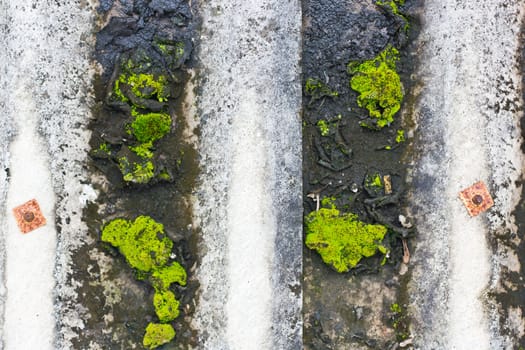 This is a Old tile roof ,It's have green moss