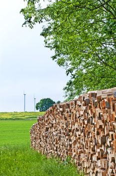 fuel-wood and wind-wheels