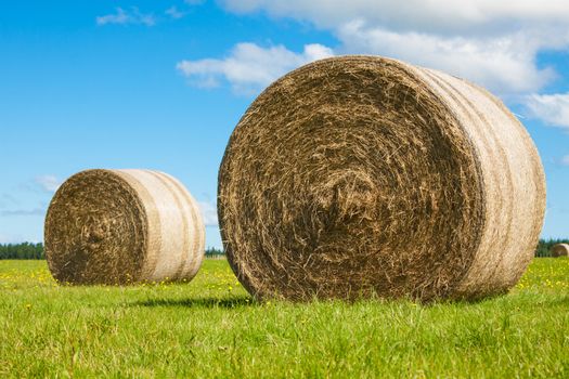 Two big hay bale rollsin a lush green field and blue sky