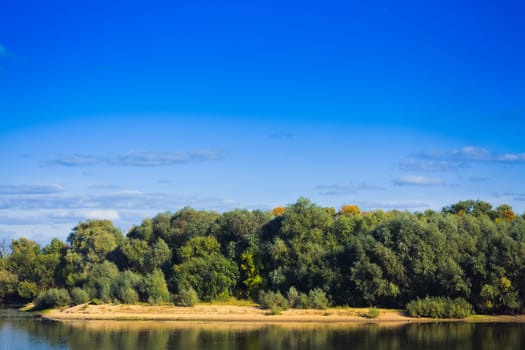 The river with a quiet current and forest background