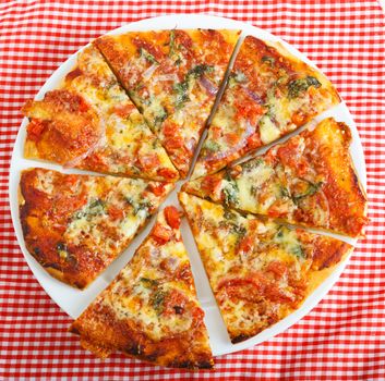 A delicious homemade round pizza on a red checkered table cloth