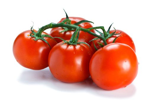 Lovely fresh vine ripened tomatoes. Isolated on white