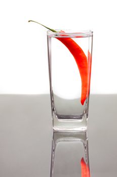 A clear alcoholic drink with a red chilli pepper. On table with reflection and isolated over white