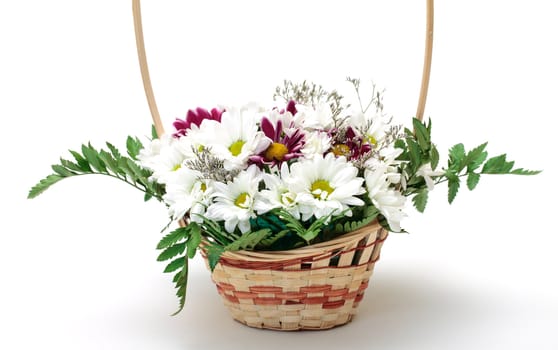 Vibrant Flowers Daisies in Basket, on white background