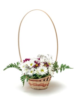 Vibrant Flowers Daisies in Basket, on white background