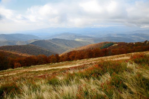 An image of multicoloured nice autumn mountains