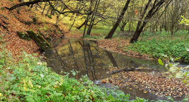 An image of a river