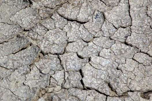 An image of ground cracked because of heat