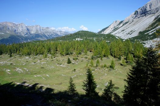 An image of a beautiful picture of mountains and forest