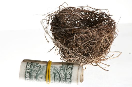 An image of roll of banknotes and nest