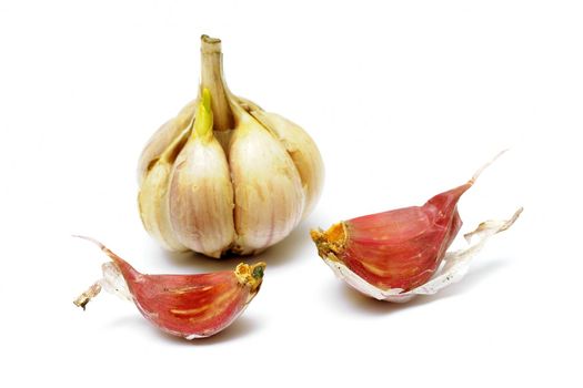 An image of garlic on white abckground
