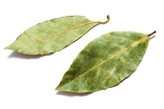 An image of a green bay leaves on white background