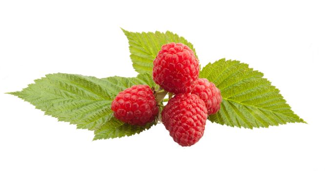 tasty red ripe raspberry over white background