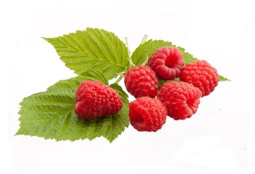 tasty red ripe raspberry over white background
