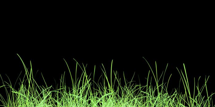 Green grass meadow over black background