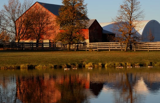 autumn season colors on a  farm with pond