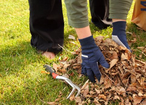 cleaning up leaves in the yard