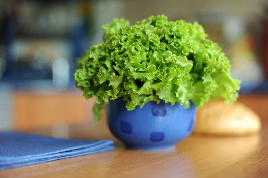 An image of fresh leaves of lettuce in blue bowl