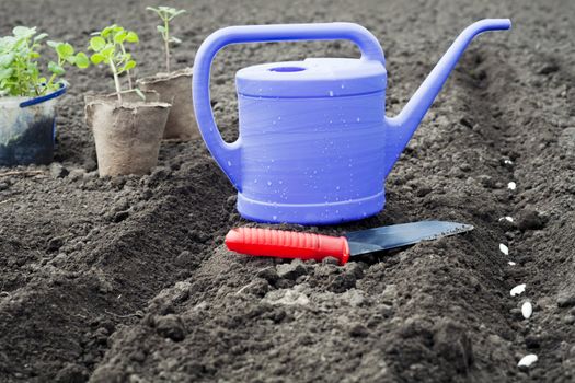 An image of a watering can on the ground