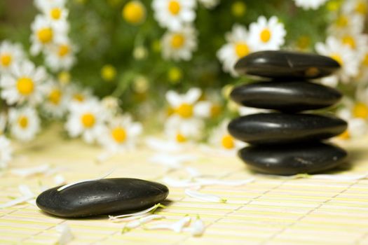 An image of black little stones for spa massage