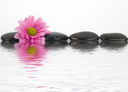 An image of black stones with reflections in water