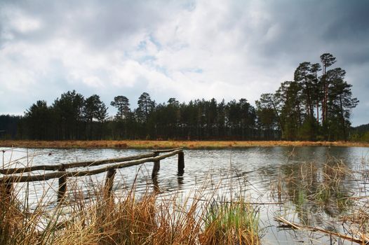 A lake in forest and dramatic sky