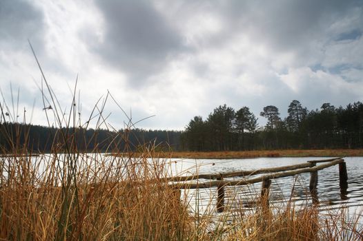 A lake in forest and dramatic sky