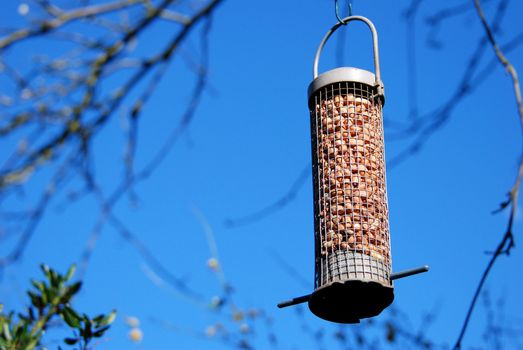 Bird feeder full of peanuts hanging from a tree branch against a blue sky