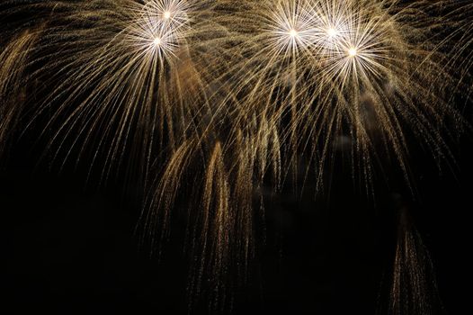 Fireworks exploding over a dark night sky