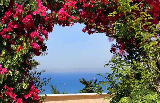 views of the Mediterranean Sea through the arch of red bougainvillea