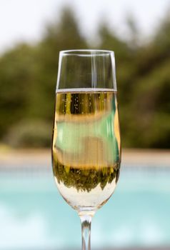 Elegant flute glass of sparkling white wine or champagne by side of swimming pool