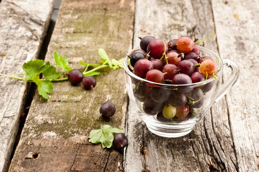 glass of ripe gooseberry on old wooden plank