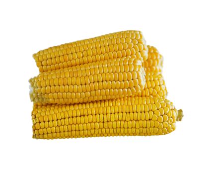 yellow corncobs isolated on a white background