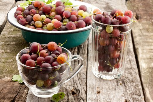 glass of ripe gooseberry on old wooden plank