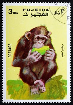 FUJEIRA - CIRCA 1972: a stamp printed in the Fujeira shows Monkey, Series Monkeys, circa 1972