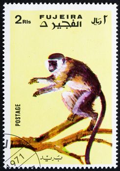 FUJEIRA - CIRCA 1972: a stamp printed in the Fujeira shows Monkey, Series Monkeys, circa 1972